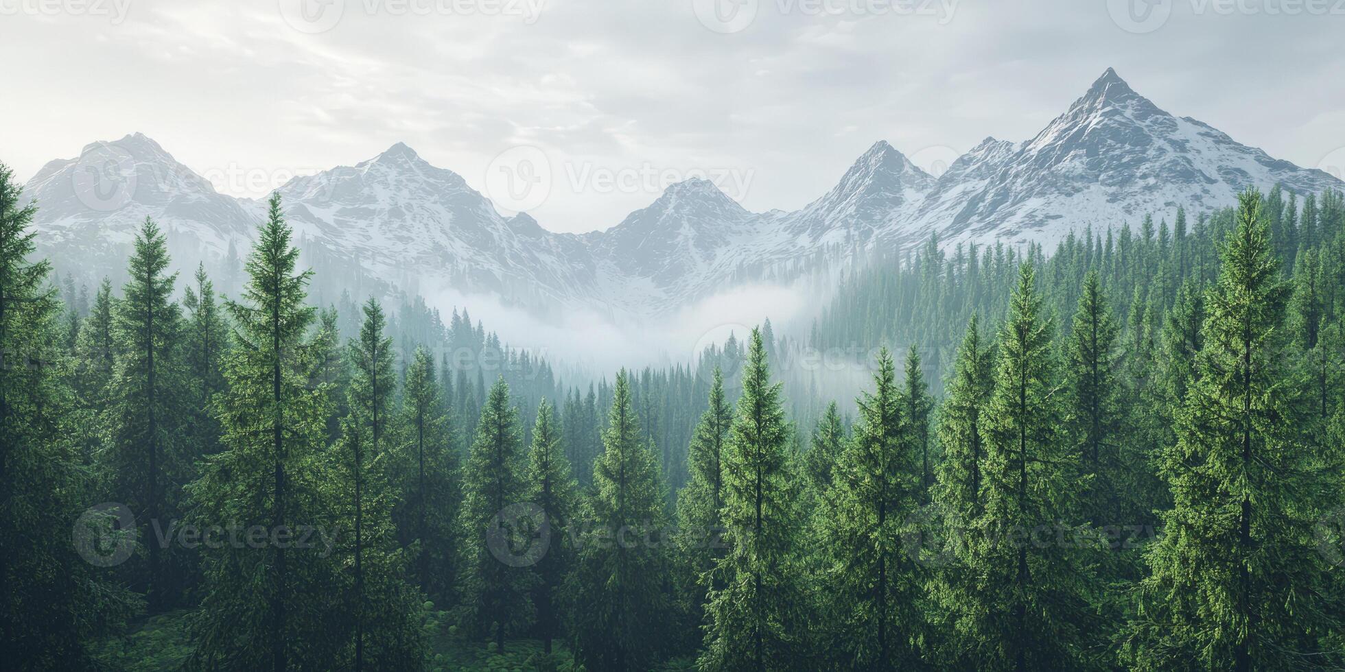 Lush evergreen forest with snow-capped mountains and mist photo