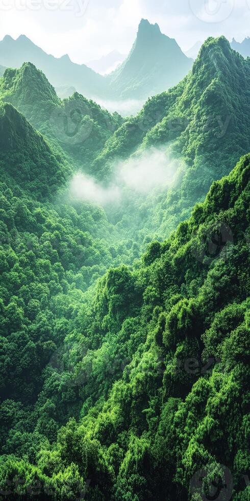 Misty mountain landscape filled with lush green vegetation photo