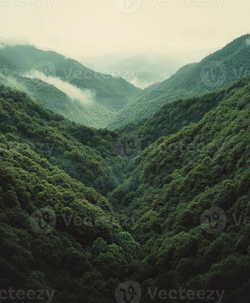 Misty mountains loom over a lush green valley photo