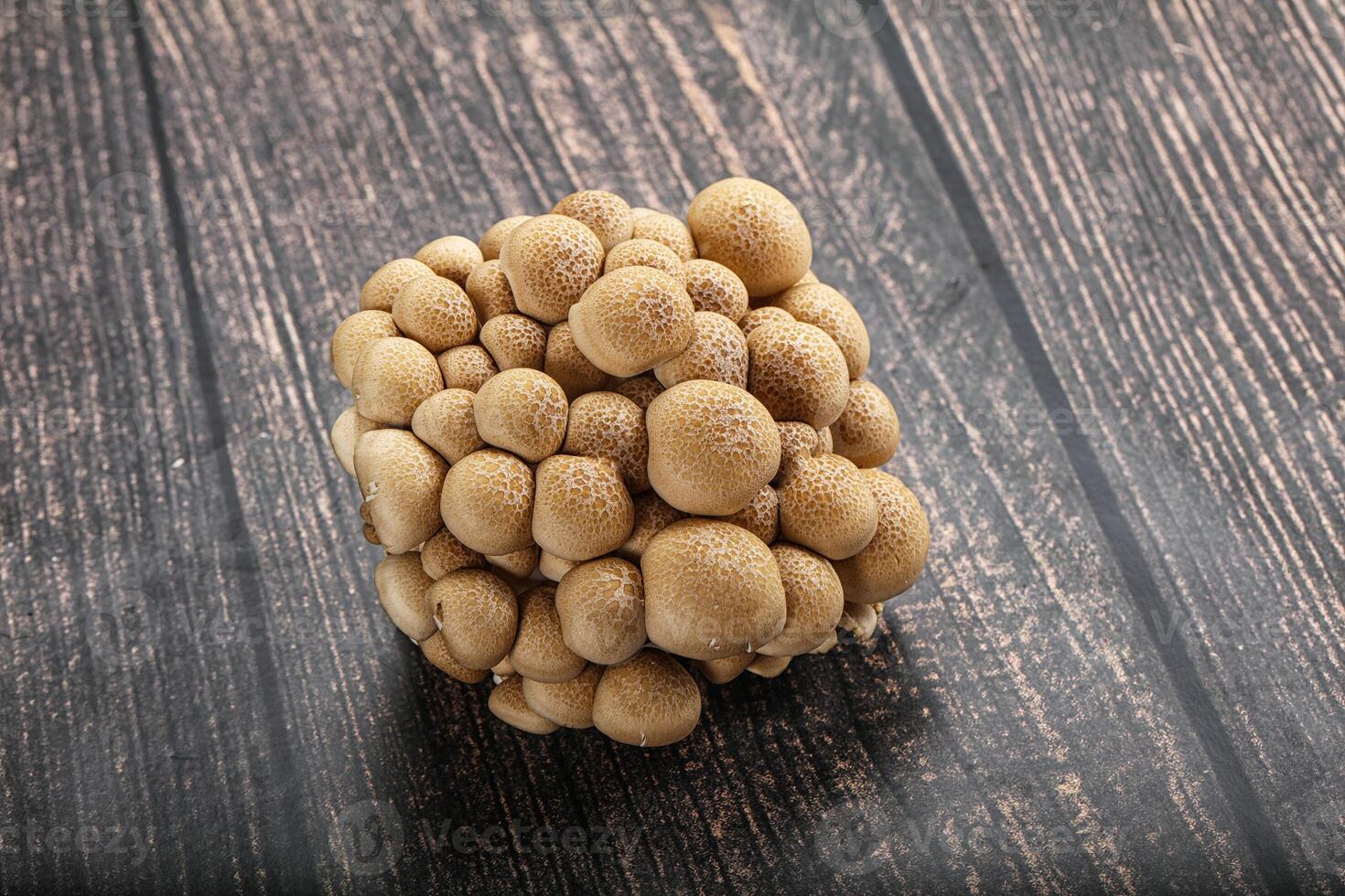 A bunch of mushrooms on a wooden table photo
