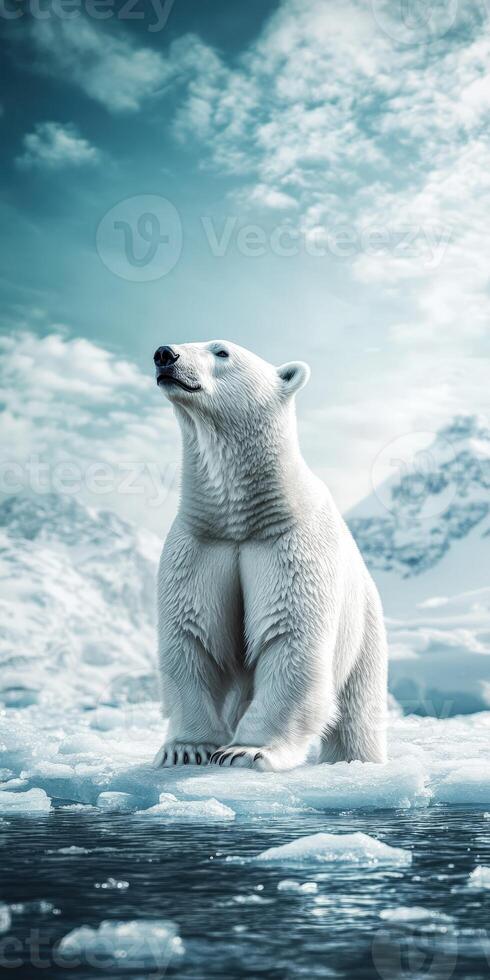 Polar bear standing on ice with blue sky background photo