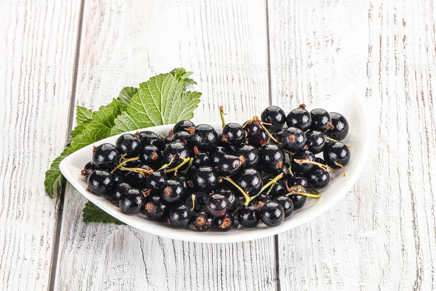 Black currants in a white bowl on a wooden table photo