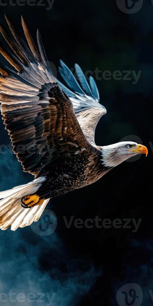 Majestic eagle soaring through the sky with wings outstretched photo