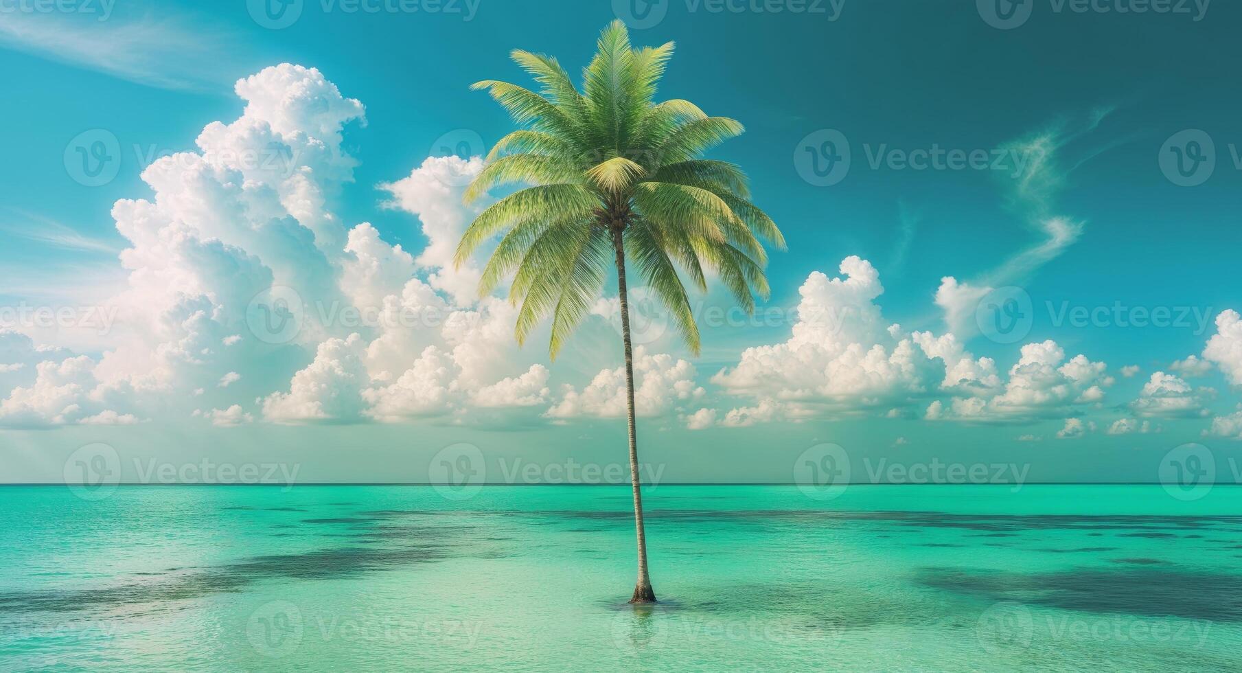 A lone palm tree stands in the middle of the ocean photo