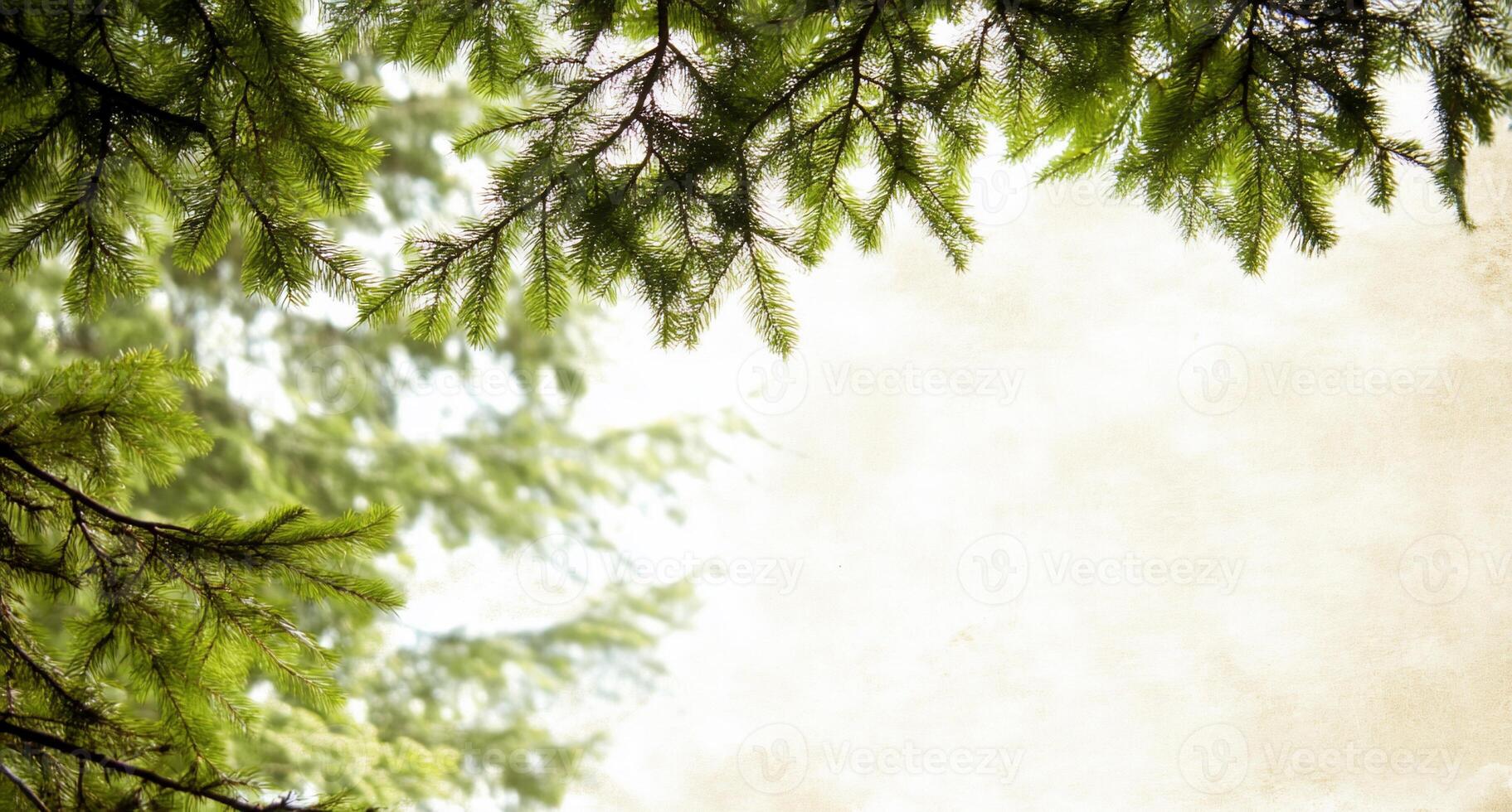 A serene view of green tree branches against a soft, textured background. photo