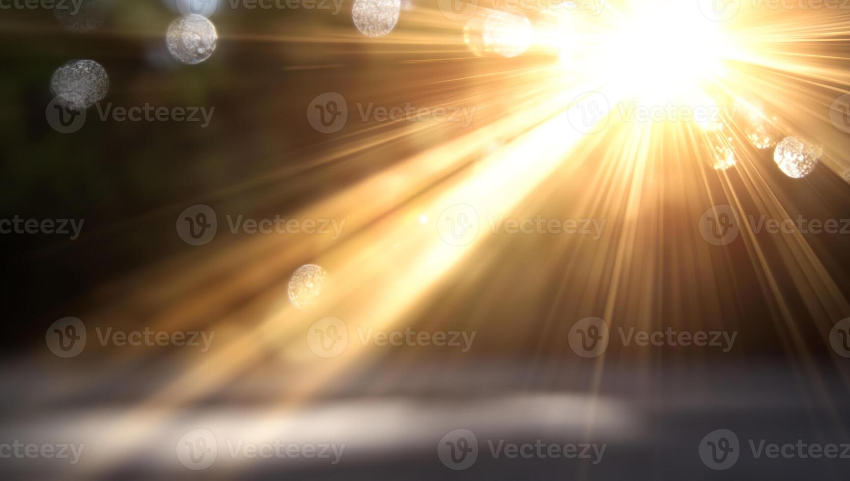 Sunlight shining through a tree and a blurry background photo
