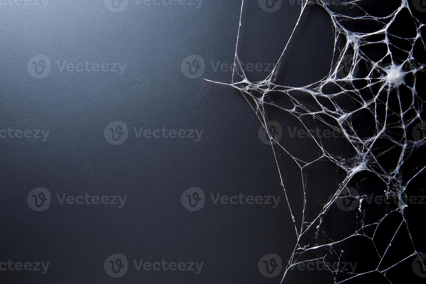 Spiderweb on dark background, Halloween design photo