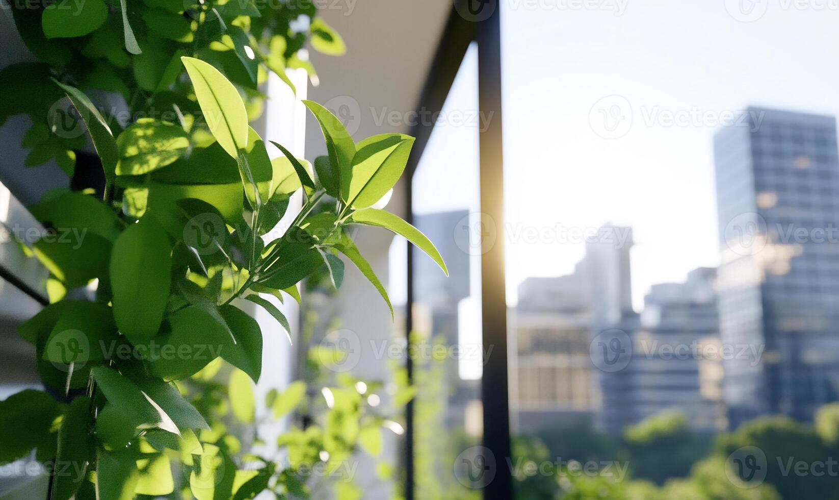 A green plant growing in front of a window photo
