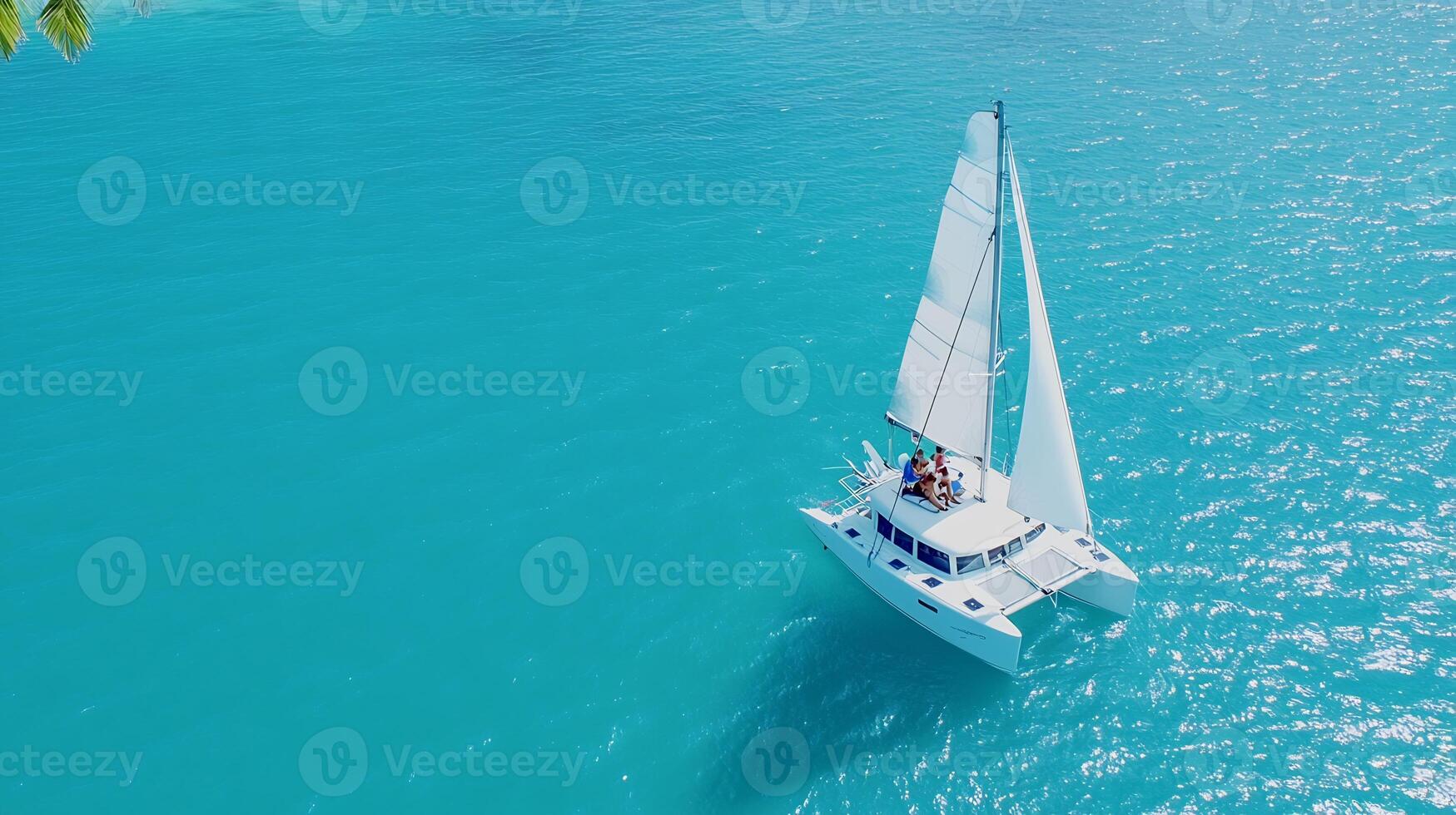 A sailboat in the ocean with palm trees photo