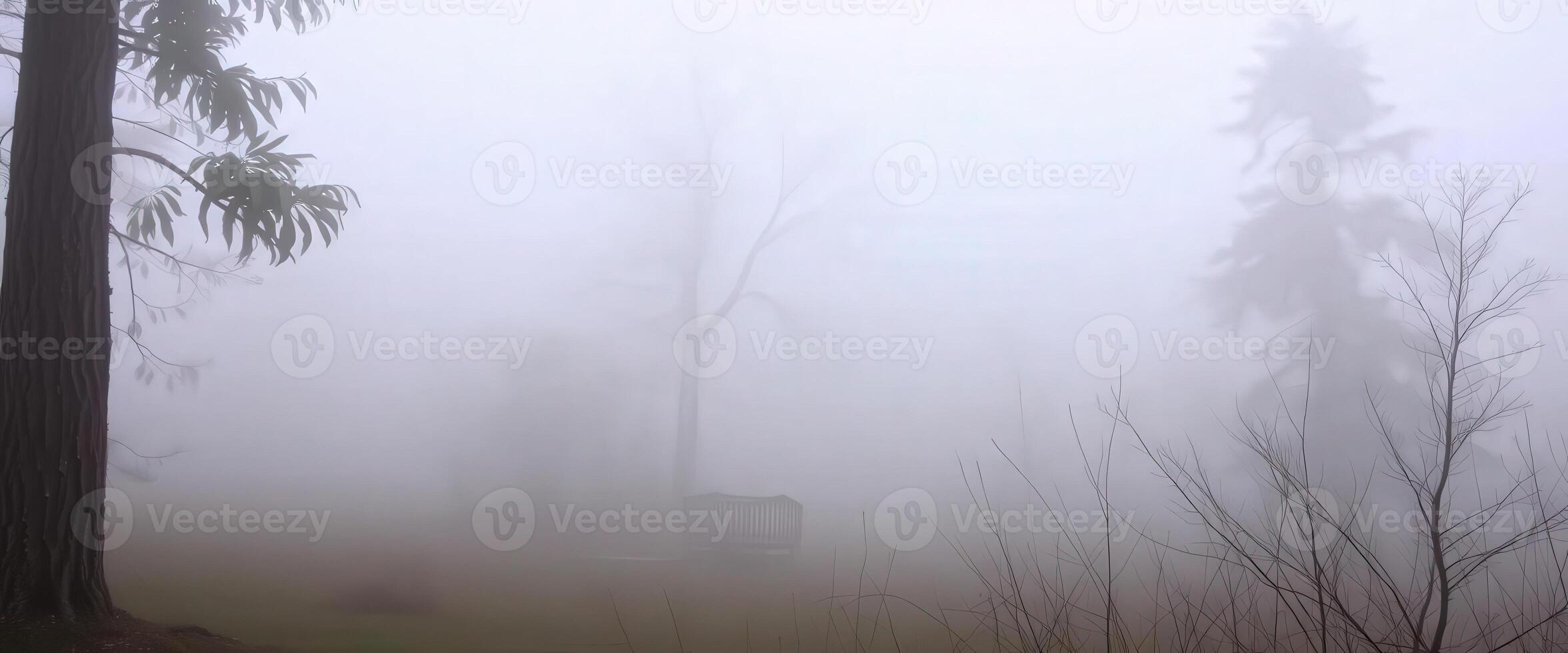 A bench in the fog with trees and grass photo