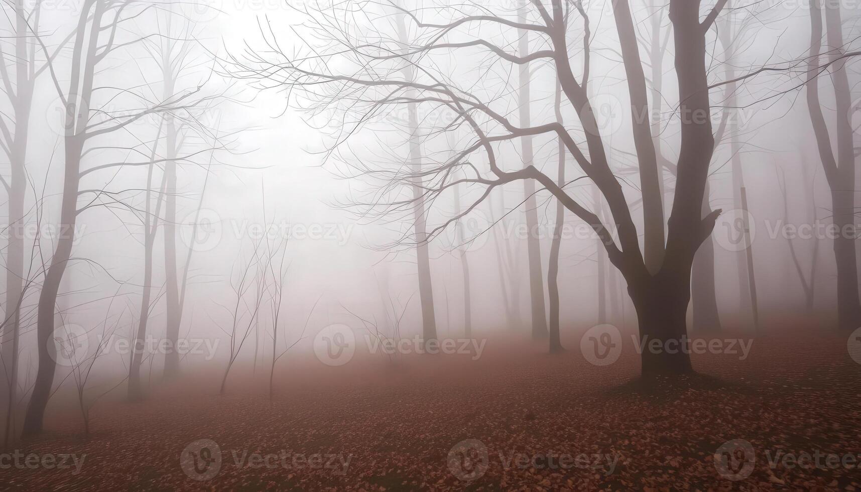 A foggy forest with bare trees and leaves photo