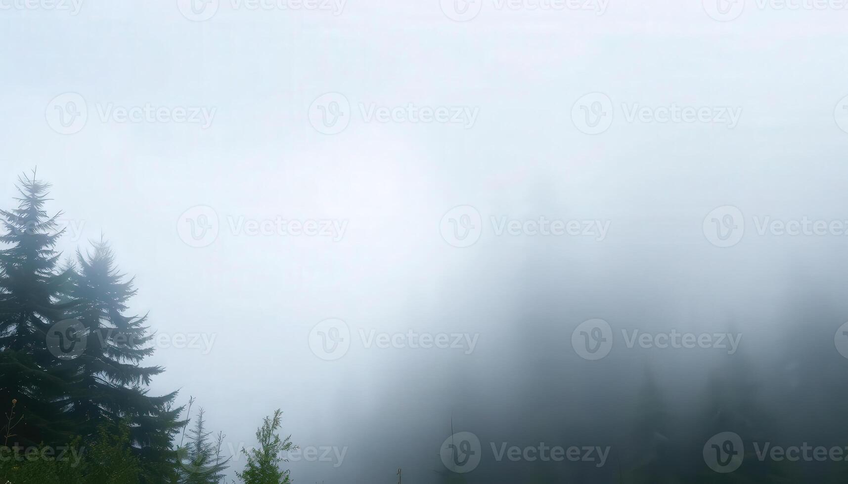 A forest with trees and fog in the background photo