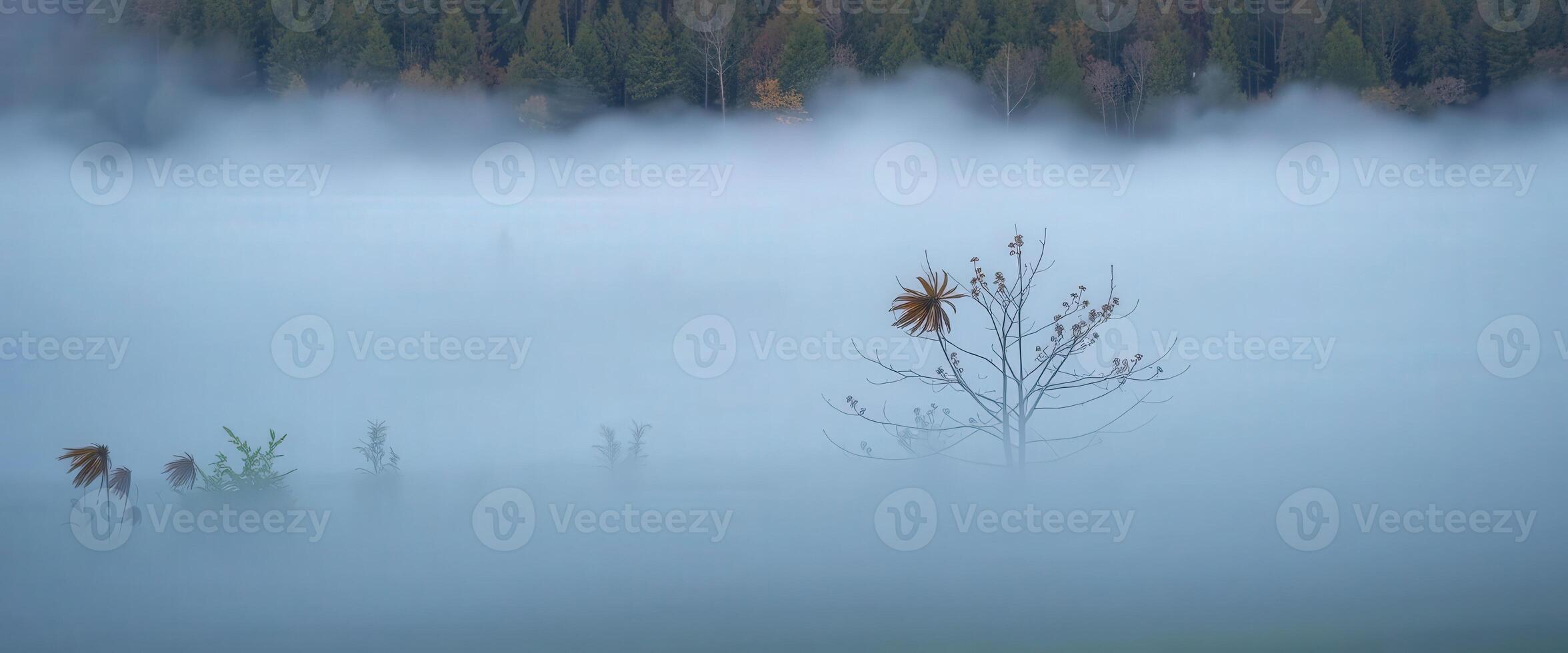 A tree is standing in the fog on a lake photo
