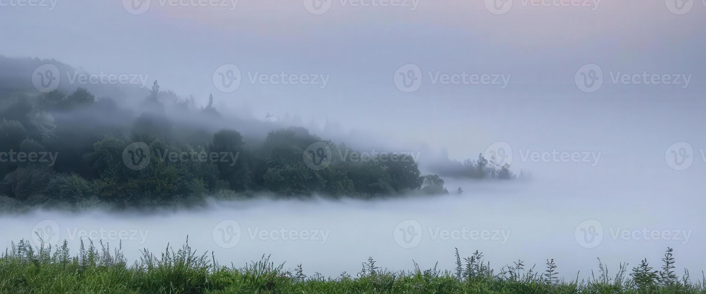 Foggy landscape with trees and grass photo