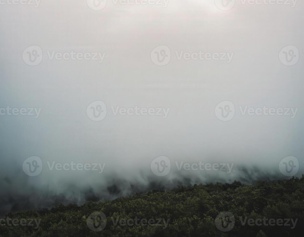 A view of foggy forest with trees and mountains photo