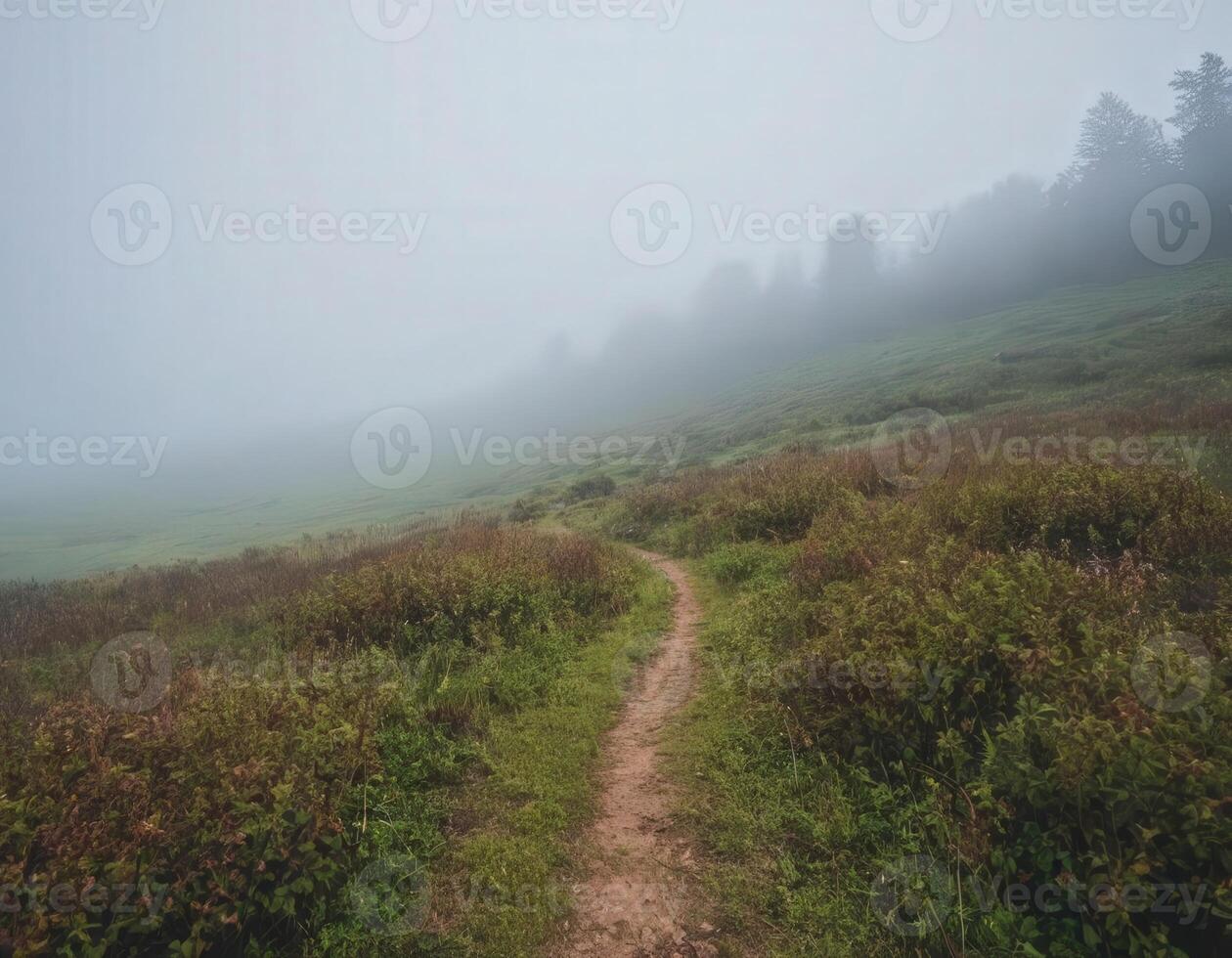 A path in the fog on a mountain photo