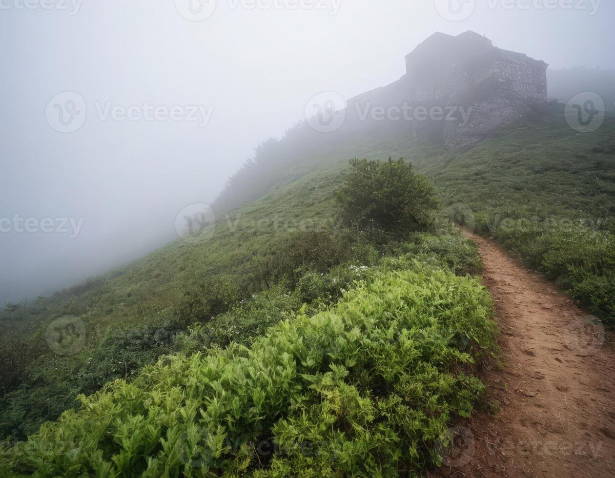 A path leads up to a cliff on a foggy day photo