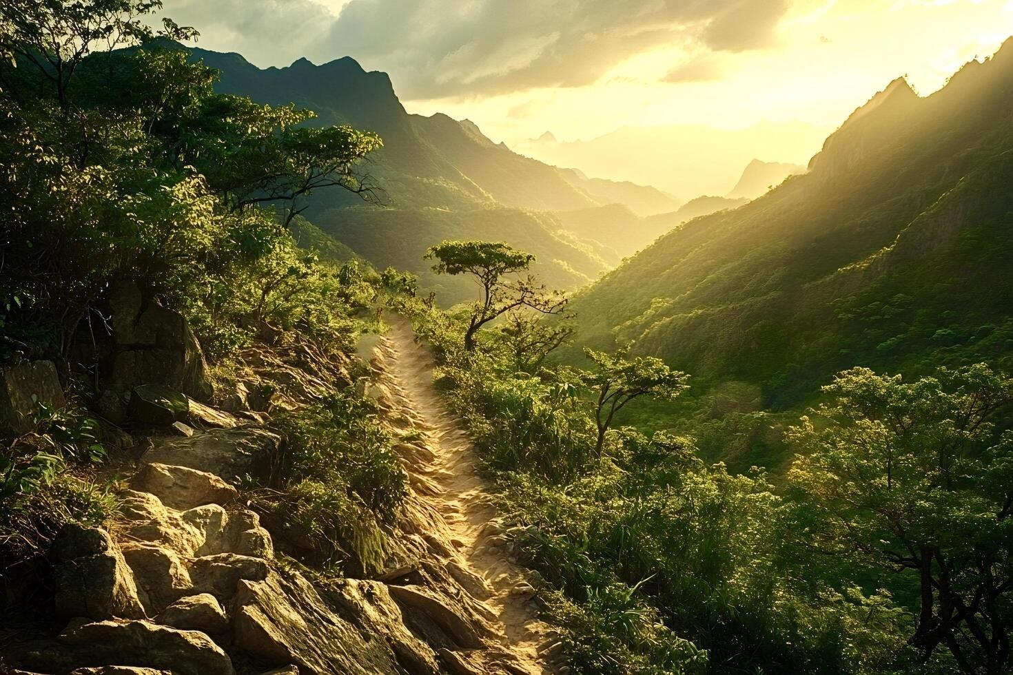 Hiking trail winding through lush green mountains at sunset photo
