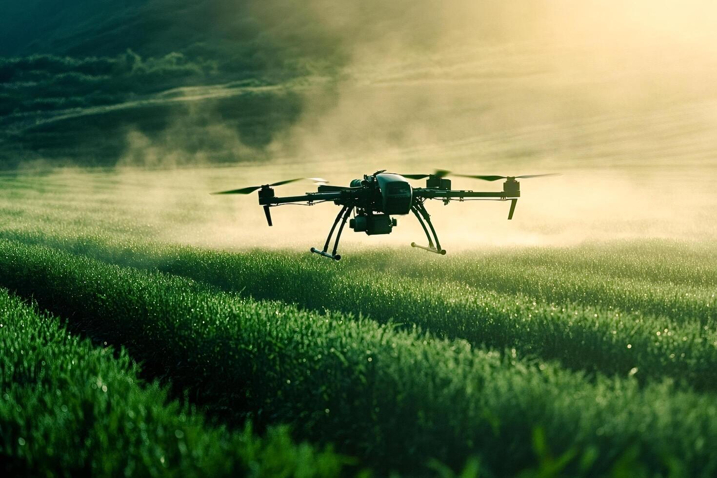 Drone spraying pesticides on wheat field at sunset photo