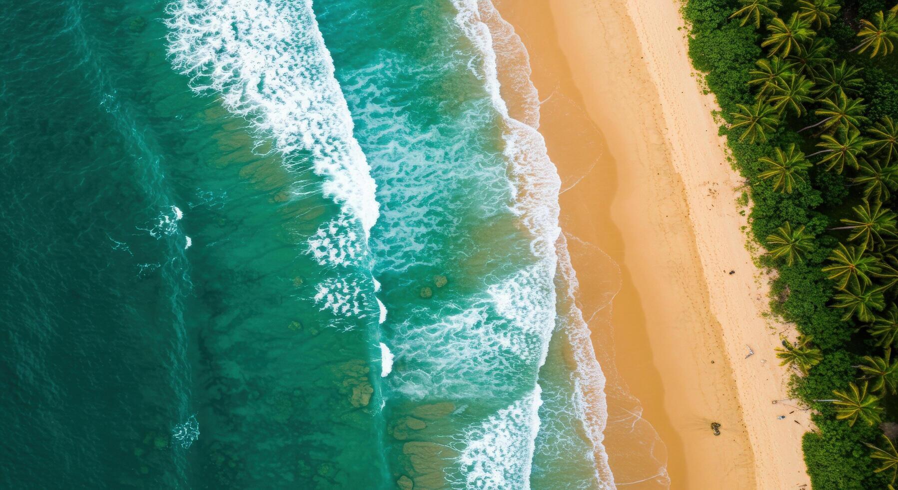 An aerial view of a beach and ocean photo