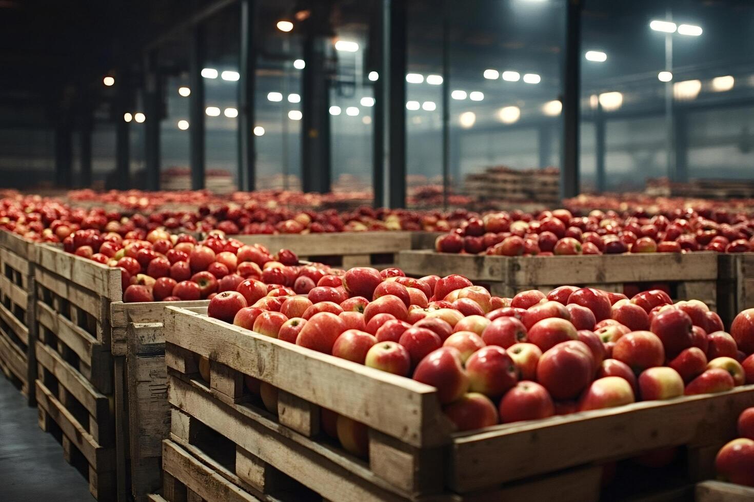 Freshly picked red apples filling wooden crates in warehouse photo