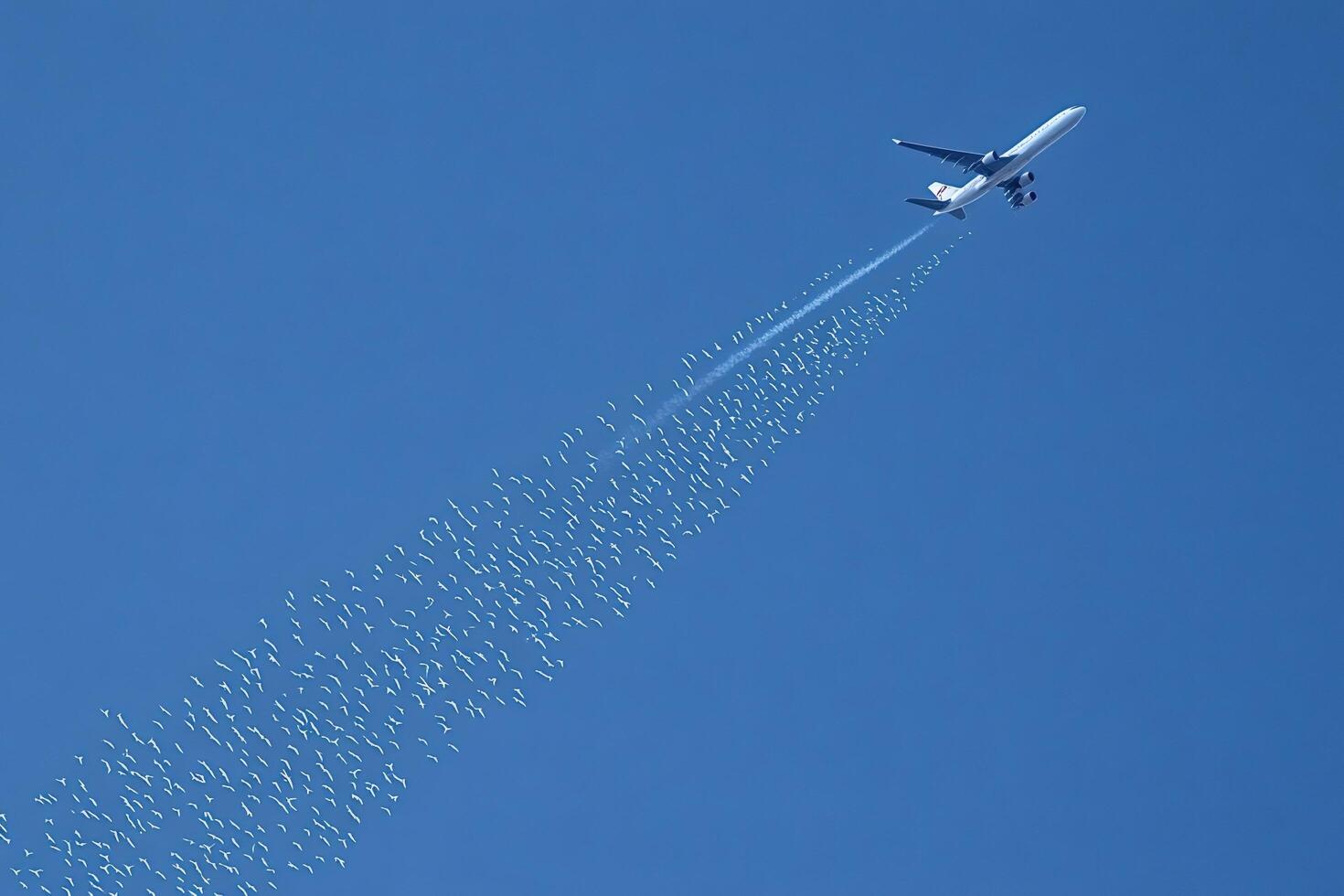 Airplane flying leaving a long dissipating condensation trail in the sky photo