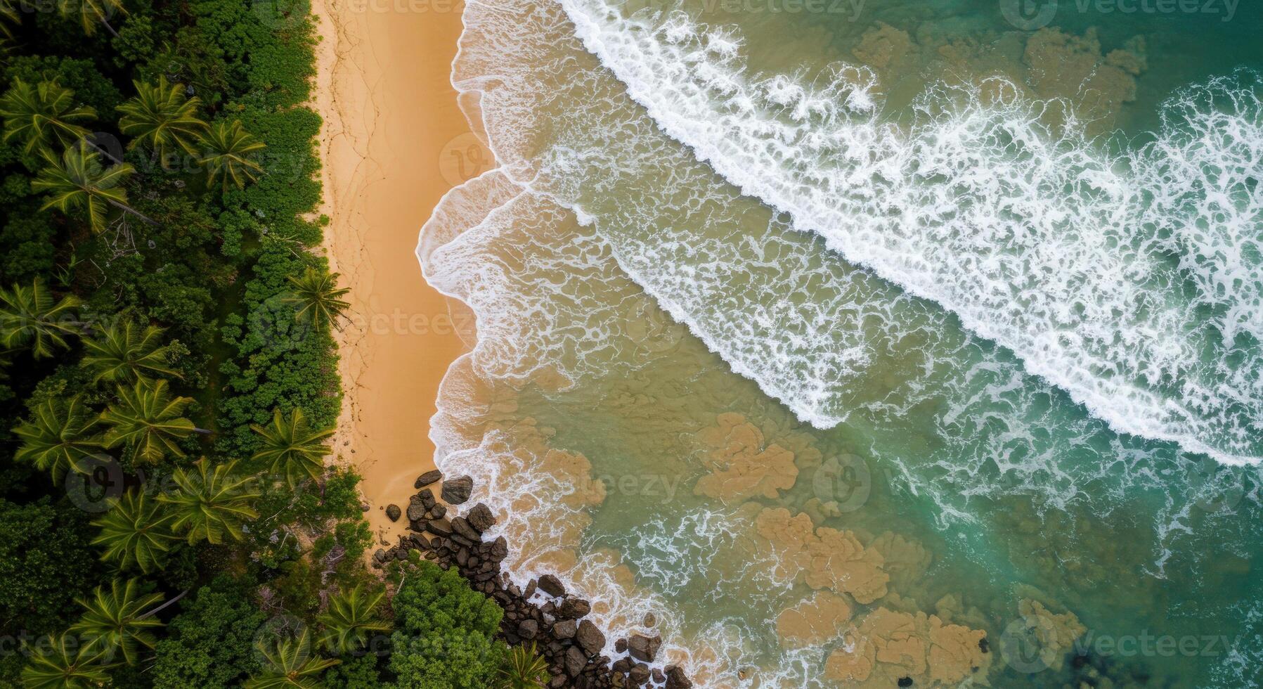 Aerial view of tropical beach and ocean waves photo