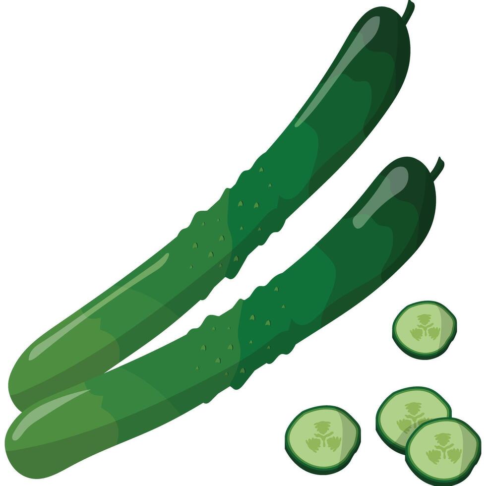 Explore the benefits of Cucumber Superfood, a refreshing and nutritious addition to your diet. Perfect for health enthusiasts, salads, and smoothies vector