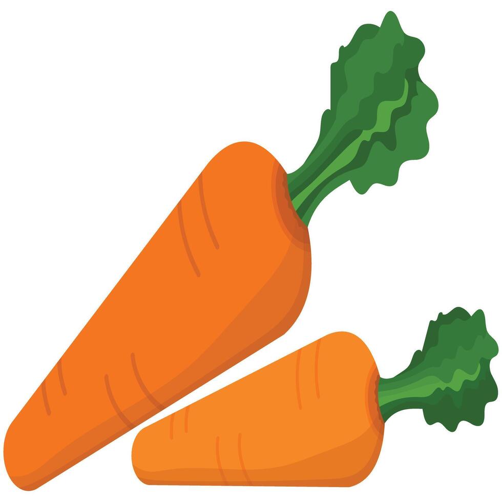 Embrace the power of Carrot Superfood, a vibrant, nutrient-rich vegetable perfect for enhancing your meals. Loaded with vitamins, it's ideal for salads, juices, and healthy snacks vector