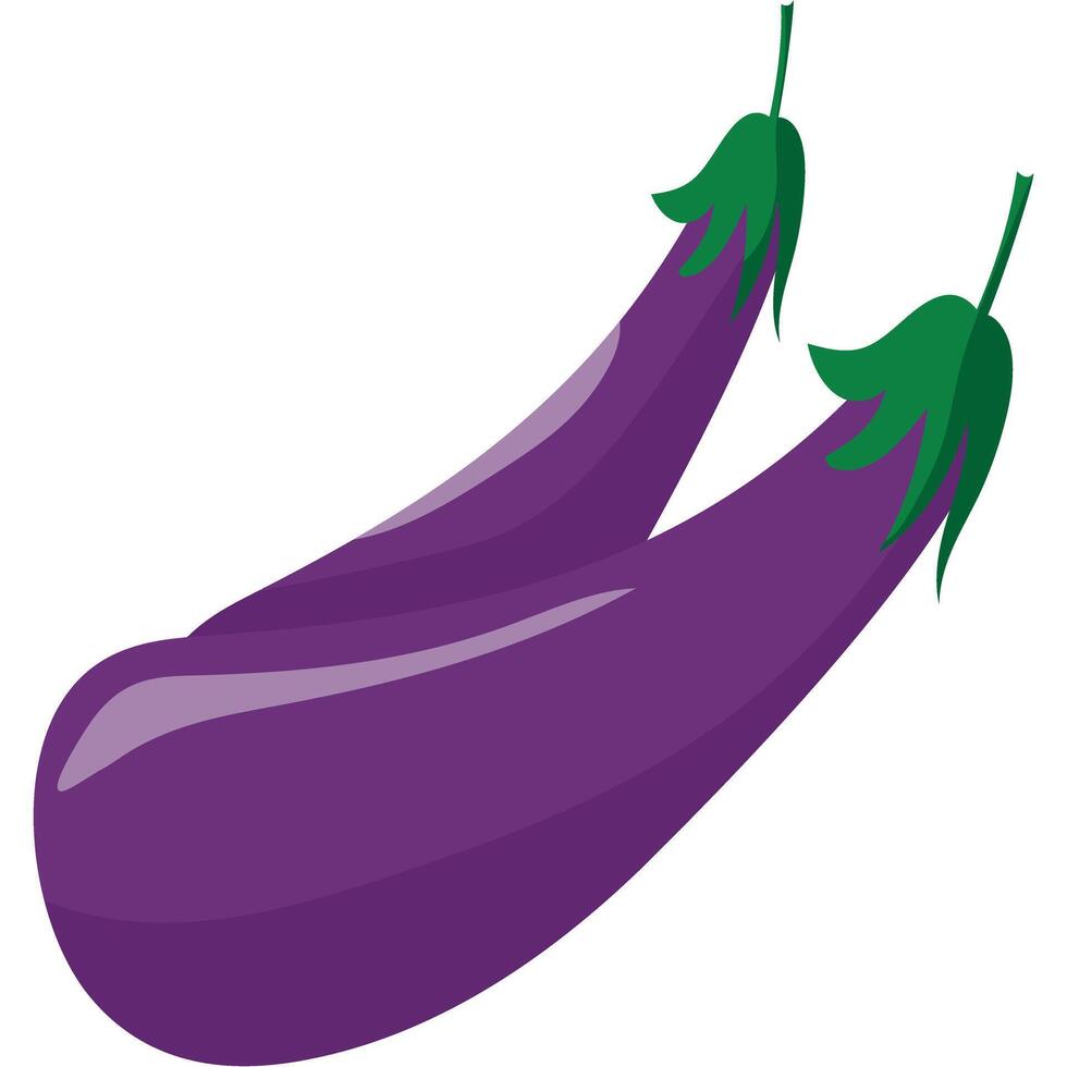 Explore the vibrant world of aubergine superfood, rich in antioxidants, fiber, and vitamins. A nutritious addition to any dish, perfect for a healthy lifestyle vector