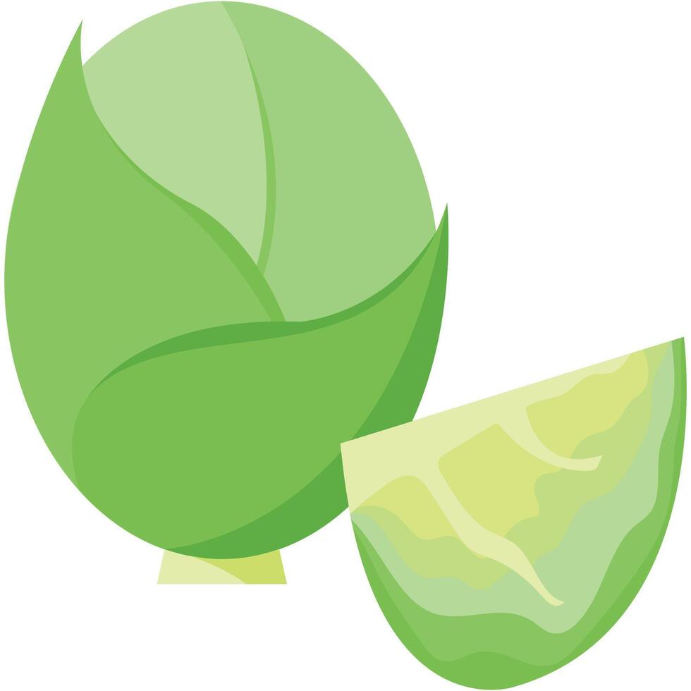 Discover the power of Cabbage Superfood, a crunchy and nutrient-dense vegetable perfect for salads, soups, and stir-fries. Packed with vitamins, it boosts your health and adds flavor vector