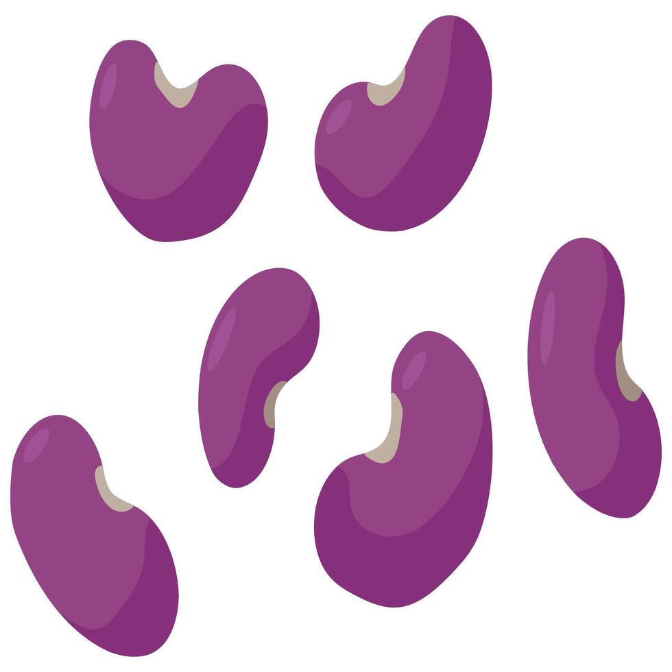 Unlock the benefits of Kidney Bean Superfood, a powerhouse of protein and fiber. Perfect for healthy meals, these beans add flavor and nutrition to salads, soups, and stews vector