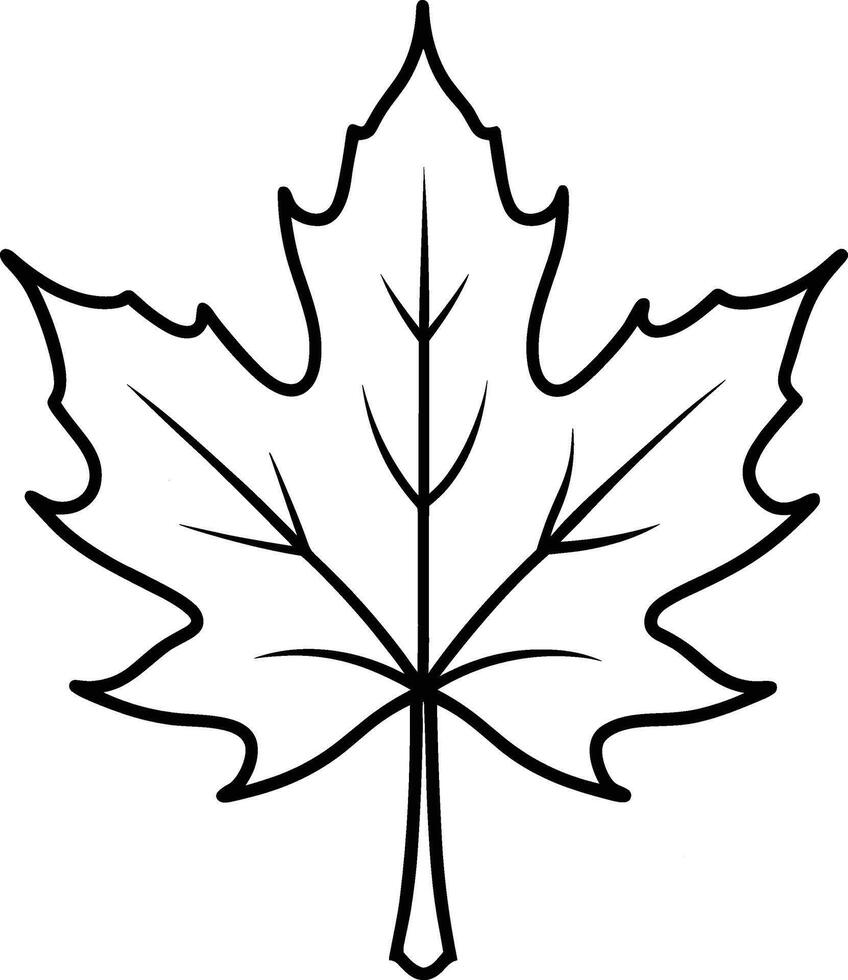 Maple Leaf Line Art - Minimalist Line Art vector