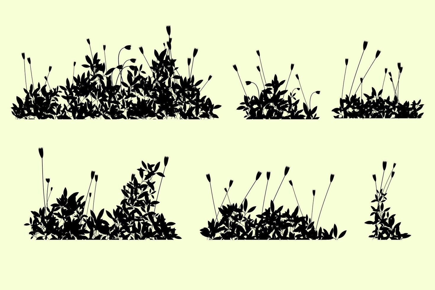 wildflower bush silhouette vector