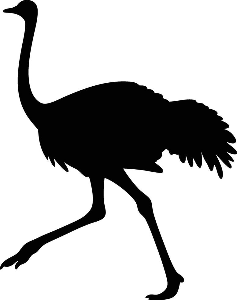 Running Ostrich black silhouette isolated on white background. Dynamic Silhouette of a Running Ostrich - Fastest Bird on Land Illustration. vector