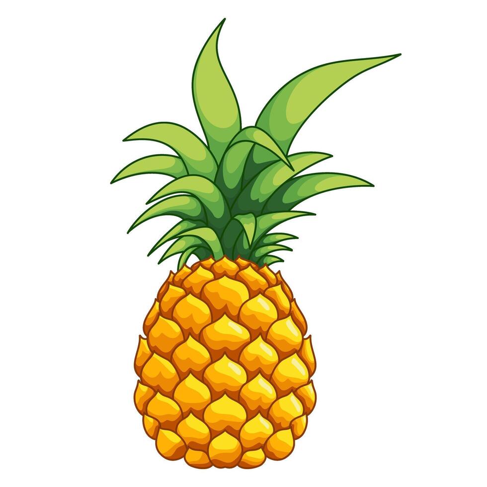 Pineapple illustration by hand drawn vector