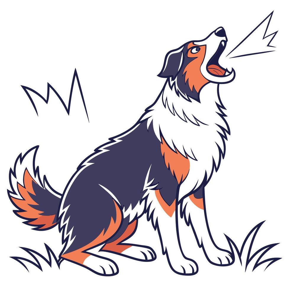 Australian Shepherd Dog vector