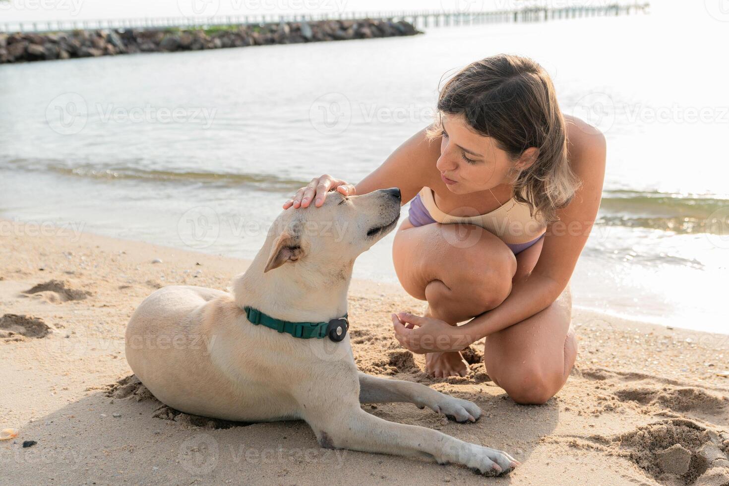 Woman shows affection to her dog while relaxing on the beach during a sunny day near the water, enjoying quality time together photo