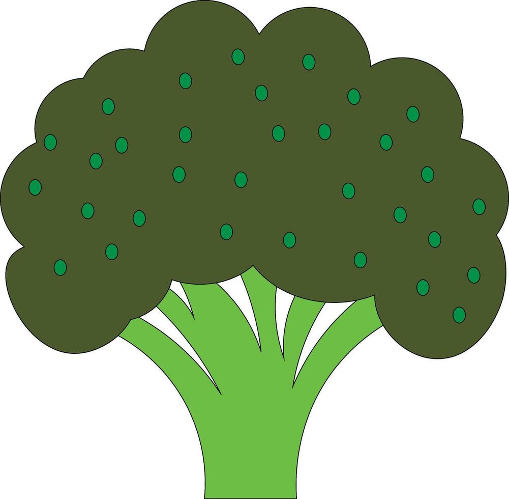 Fresh Broccoli icon Farm fresh eco and healthy vegetables Realistic Style Cauliflower Flat Style Salad Design Healthy Food and Lifestyle Isolated on White Background vector