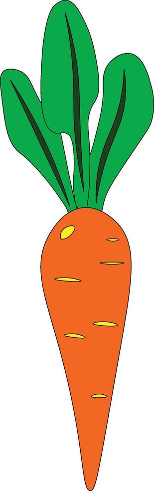 Fresh Vibrant Carrot with Green Leaves Free Illustration Orange Carrot Cartoon Vegetable Salad Design Healthy Food and Lifestyle Isolated on White Background vector