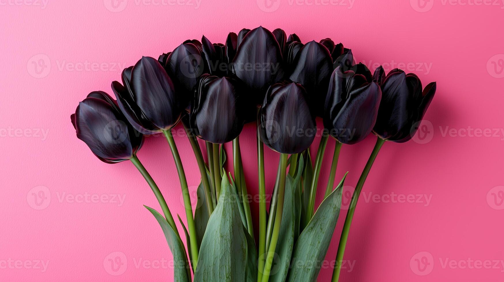 Close up of beautiful bouquet of black tulips on simple colored background. 12 photo