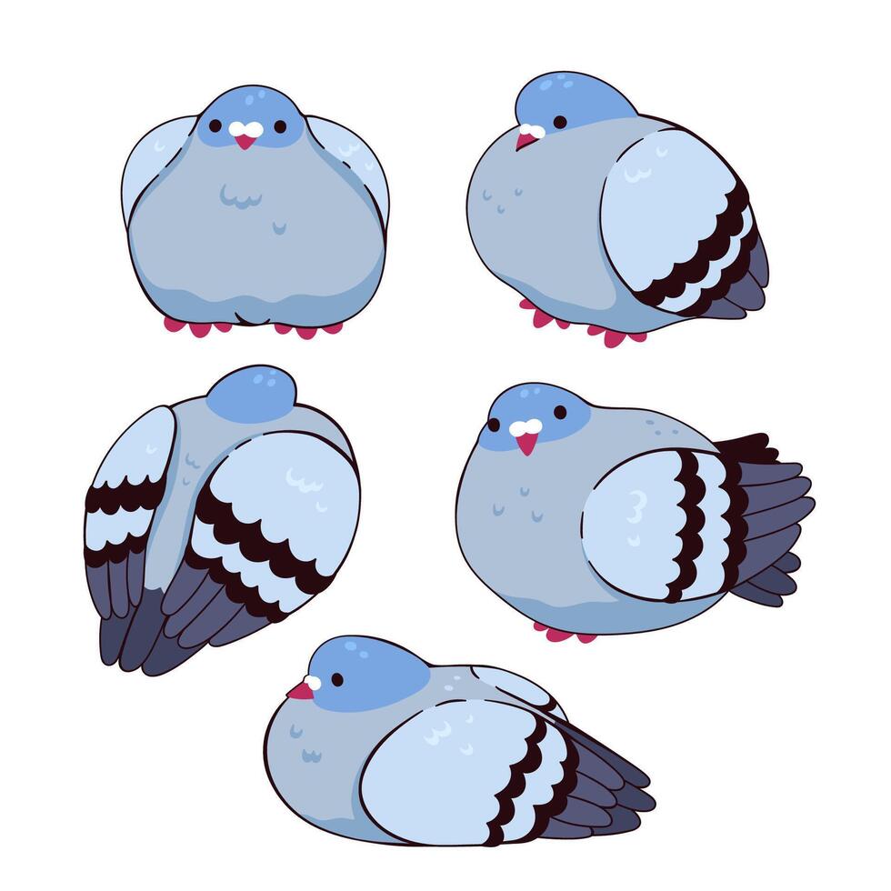 Set of fluffy fat cute pigeons. graphics. vector