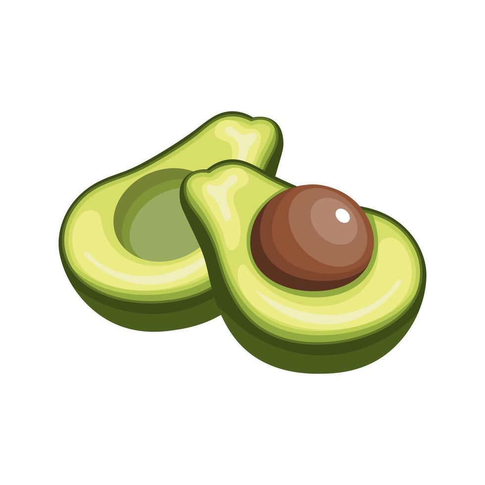 Tropical fruit illustration. vector