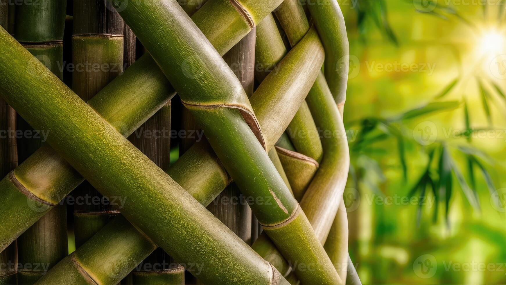 Stunning photos featuring bamboo stalks up close, showing off their intricate and detailed texture