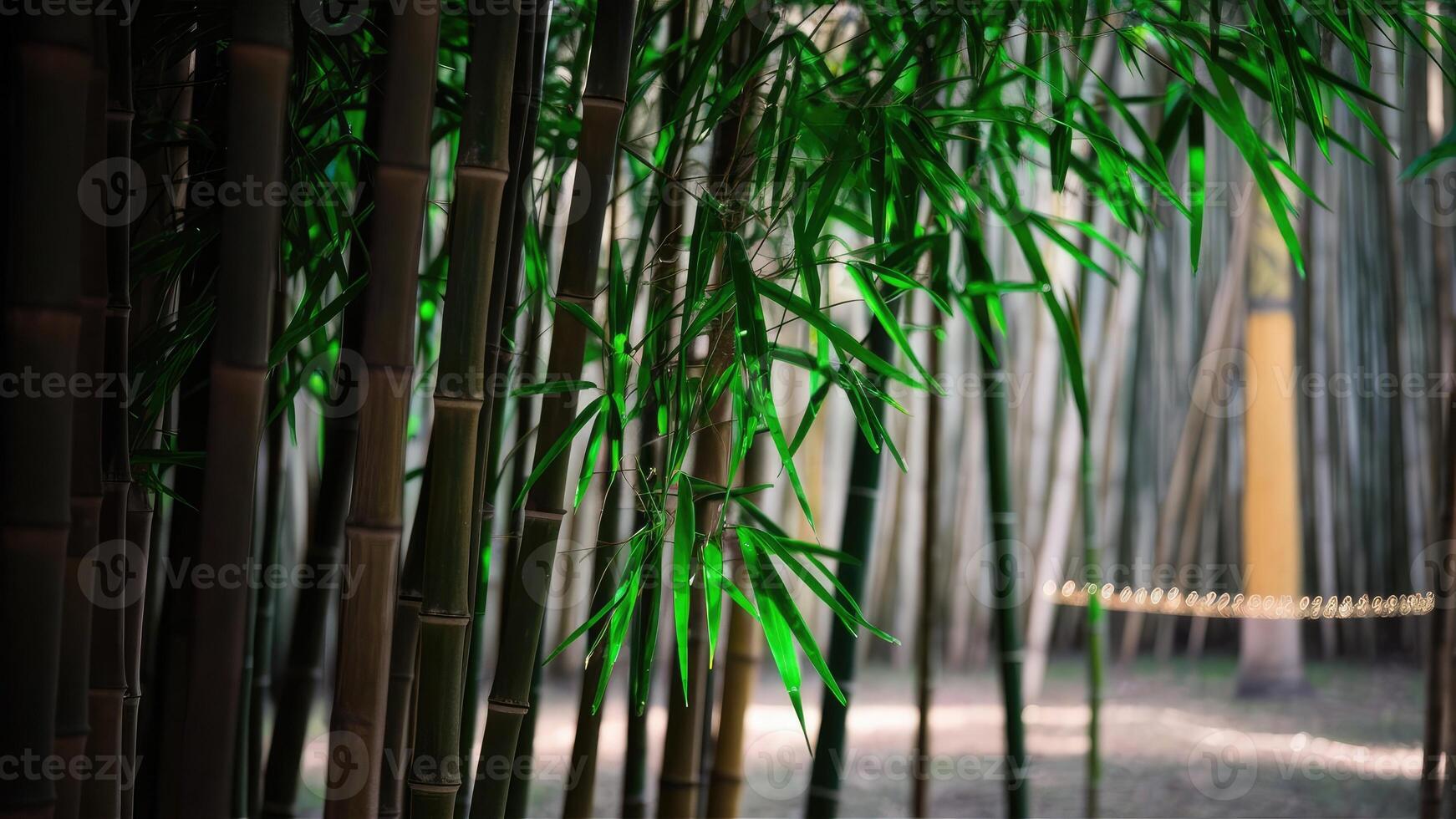 Stunning, high-resolution close-up photo of bamboo texture. The bamboo stems are tall and slender