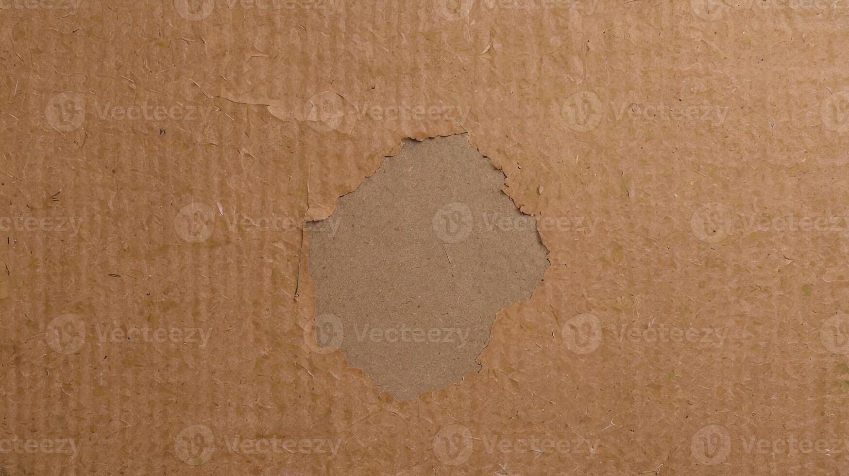 Brown Bag Textured Pattern photo