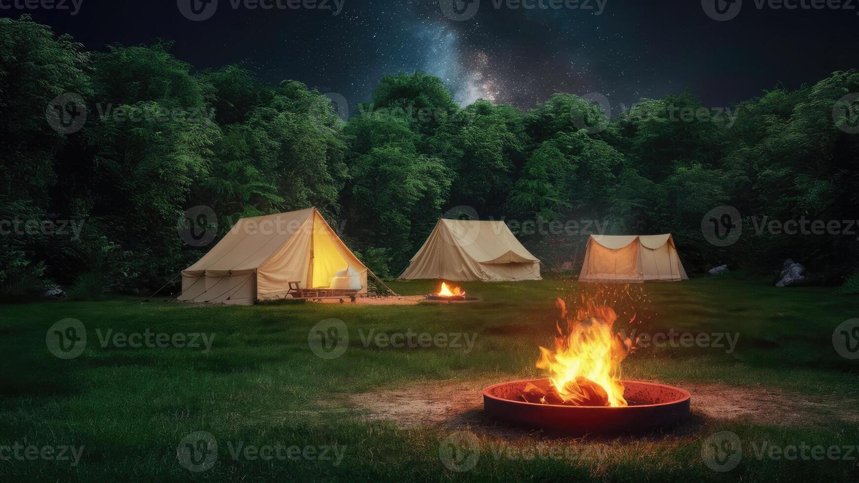 The charming night view reflects the essence green forest photo