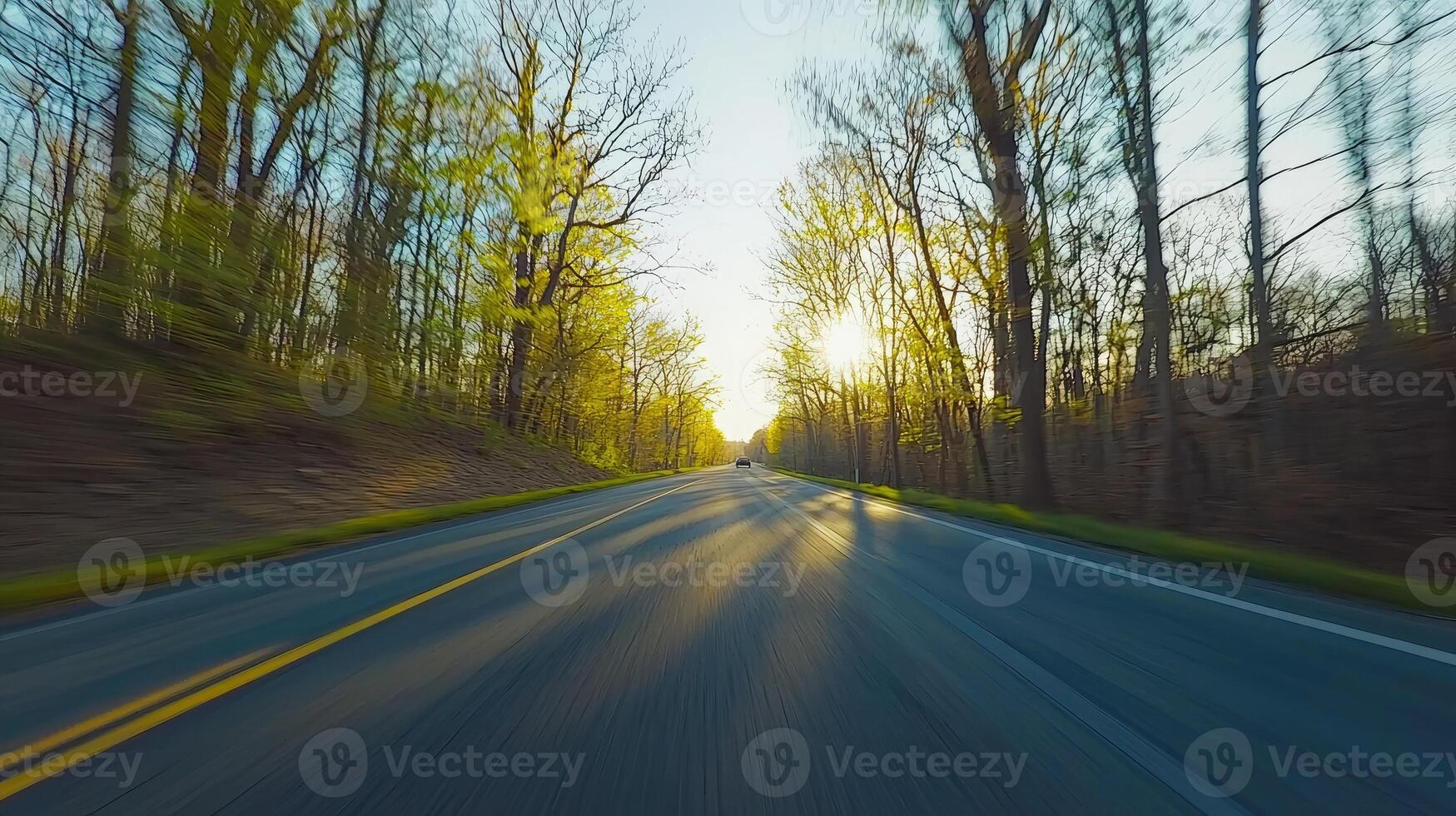 Driving through a sunlit forest road in springtime photo