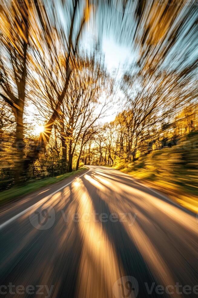 Golden Sunlight Streams Through Trees On A Winding Road photo