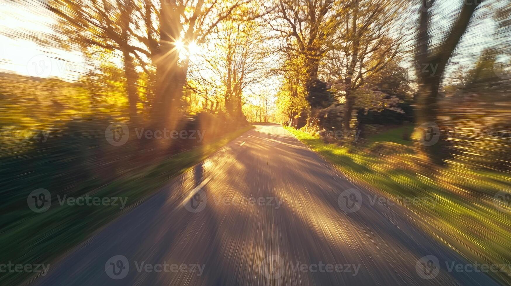 Sunlit Road Through Trees A Scenic Drive photo